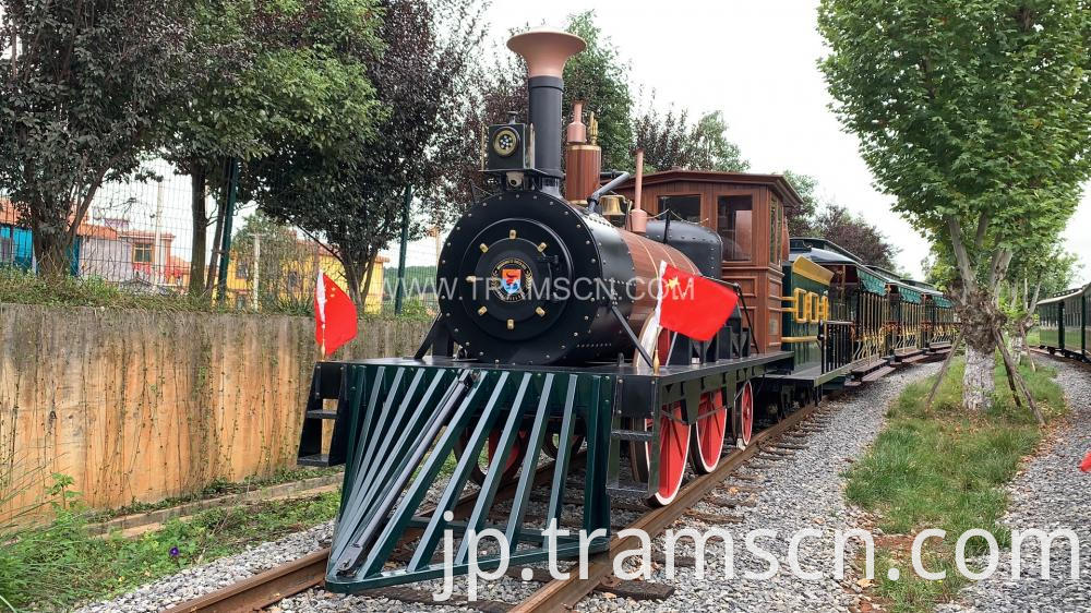 Steam Engine Trains Dant